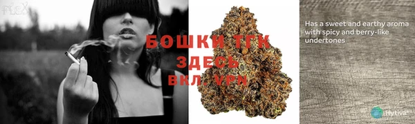 стафф Липки
