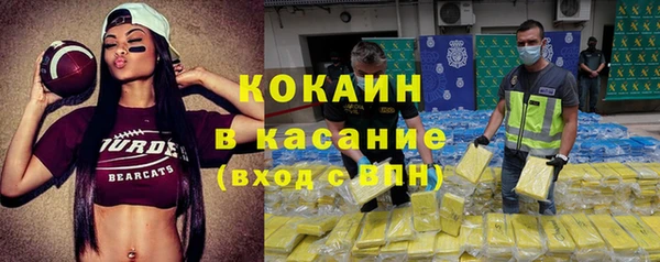 винт Лагань